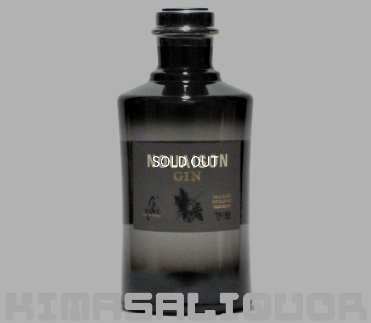 画像1: ジーヴァイン ジン ノエゾン 正規品 45度 700ml (1)