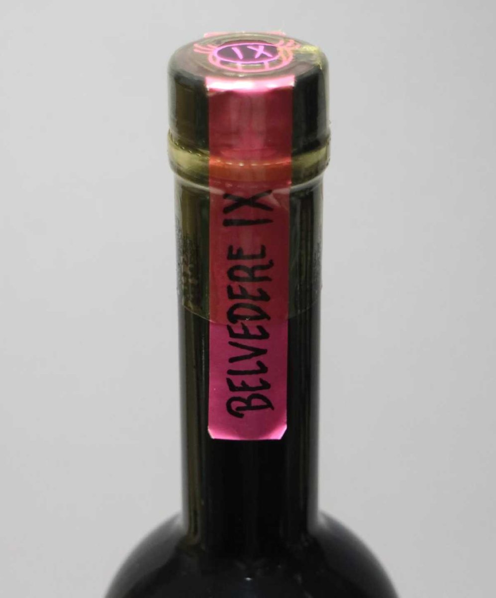画像3: ベルヴェデール IX （ワンエックス） 正規品 40度 700ml (3)
