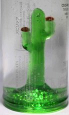 画像3: [古酒] ポルフィディオ テキーラ プラタカクタス 正規品 39.7度 750ml (3)