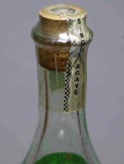 画像4: [古酒] ポルフィディオ テキーラ プラタカクタス 正規品 39.7度 750ml (4)